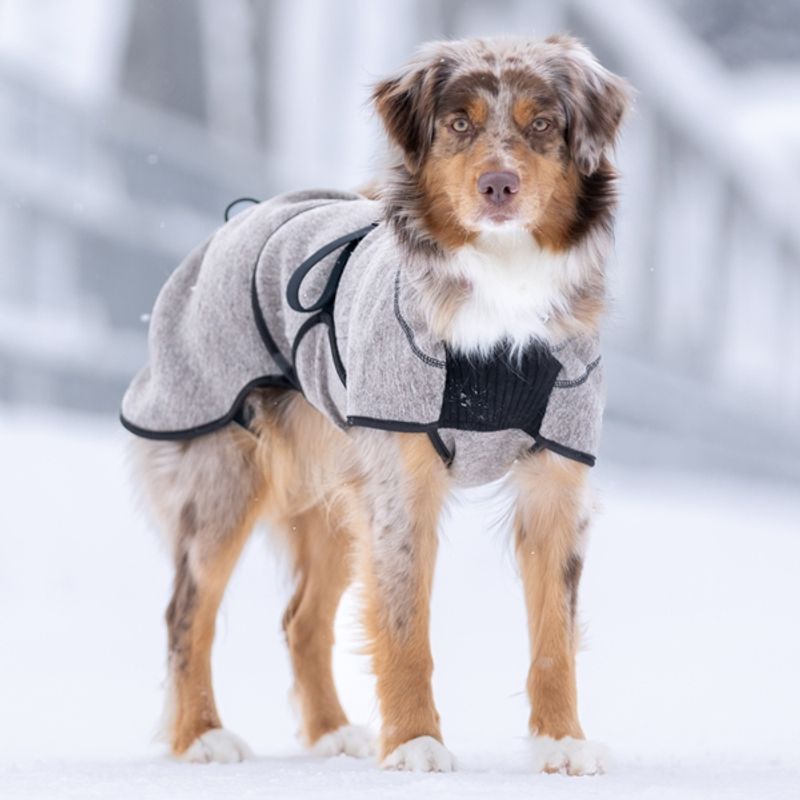 Delta - wool coat dog
