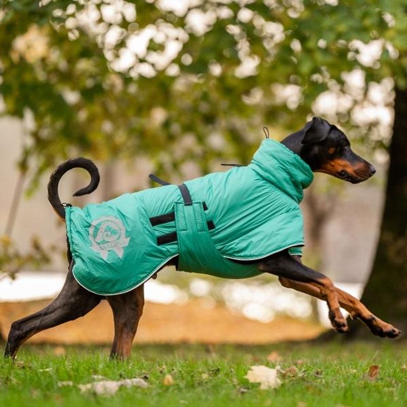 Active - aktivitetsdekken med høy hals og ullfor