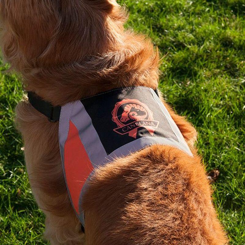 Canelana reflective vest