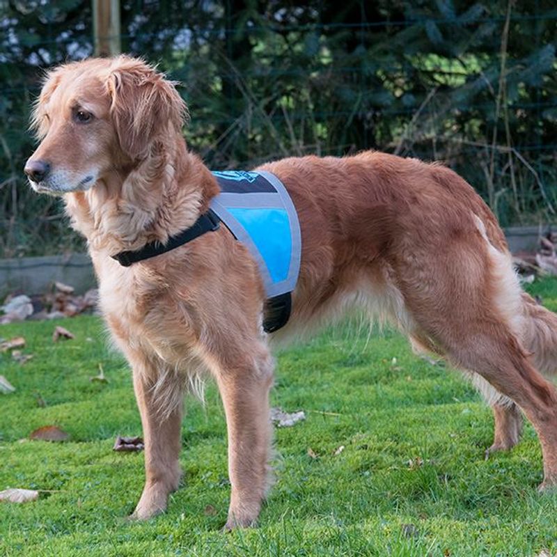 Canelana reflective vest