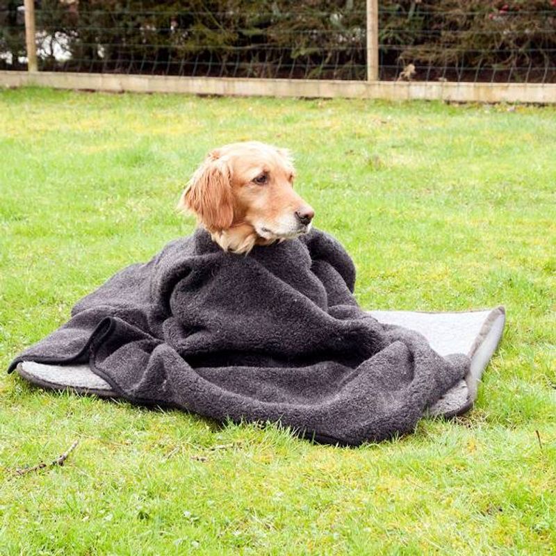Dog poncho wool