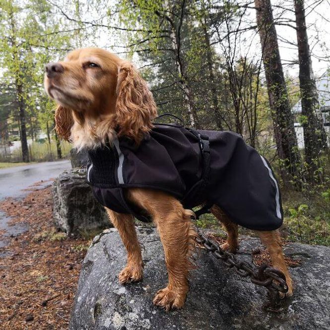 Hovedbilde Cover sort vind-/regndekken hund