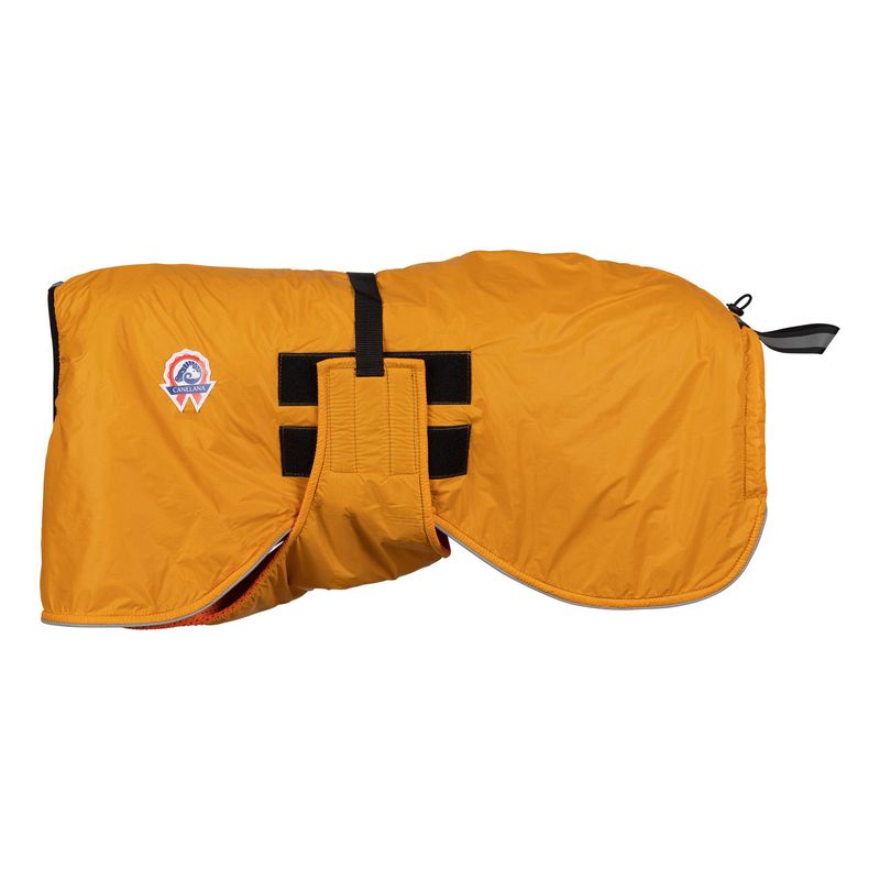 Sporting - activity coat dog with 100% wool lining