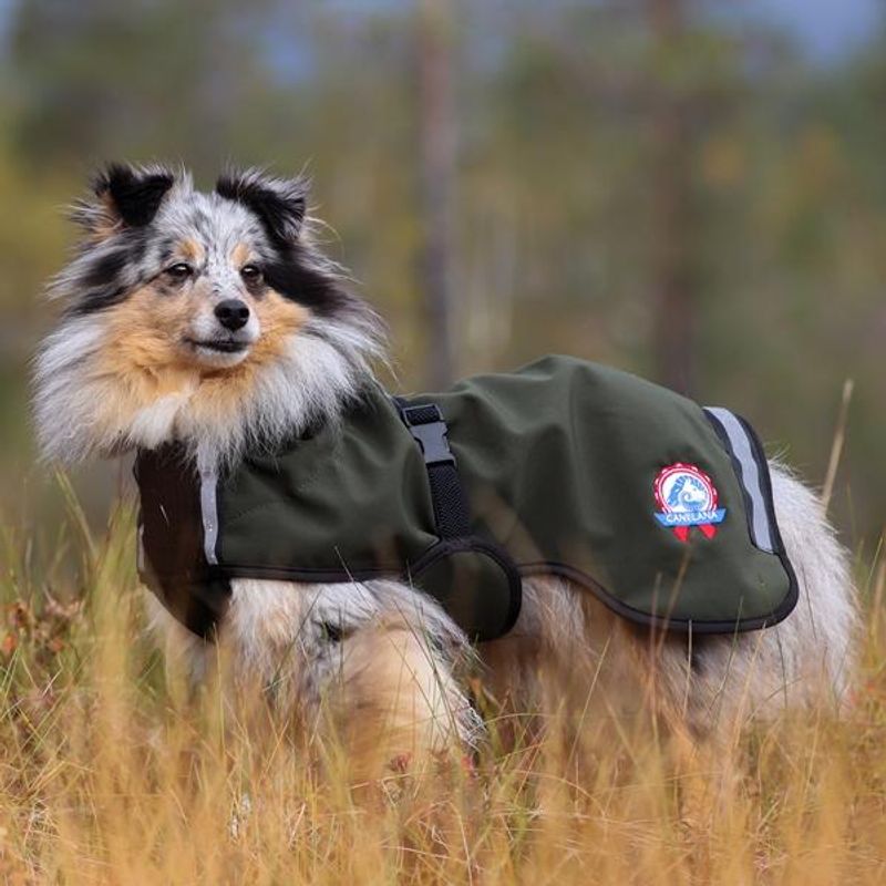 Cover grønn vind-/regndekken hund