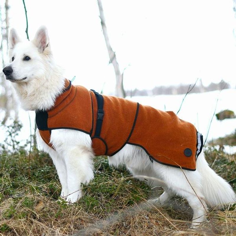 Delta - wool coat dog