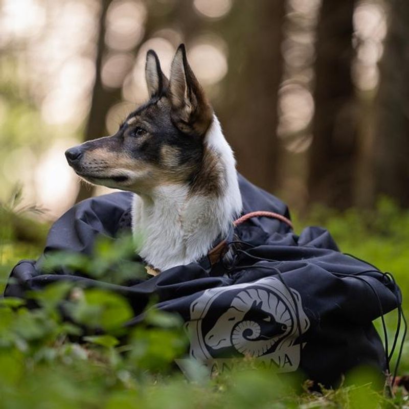 Canelana Shelter beskyttende vind-/varmepose hund