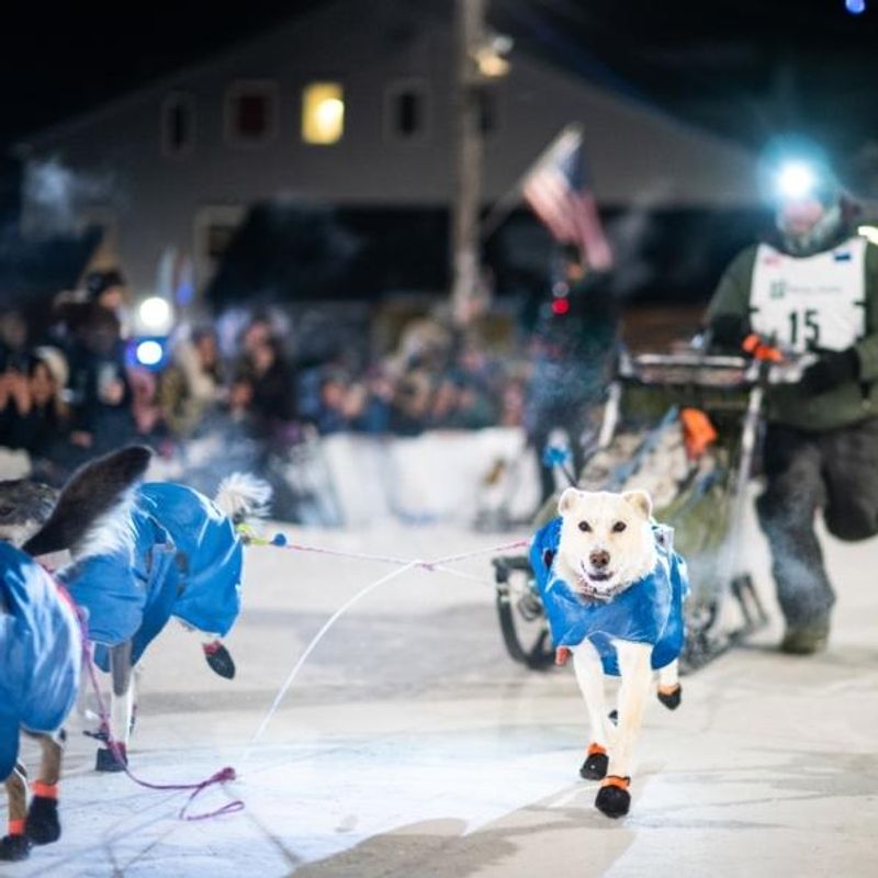 Canelana Racing - 12+ pcs