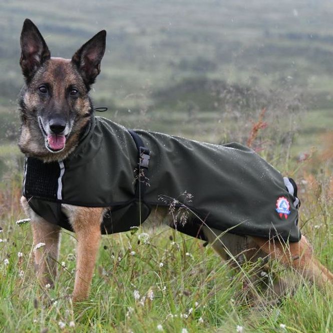 Hovedbilde Cover grønn vind-/regndekken hund