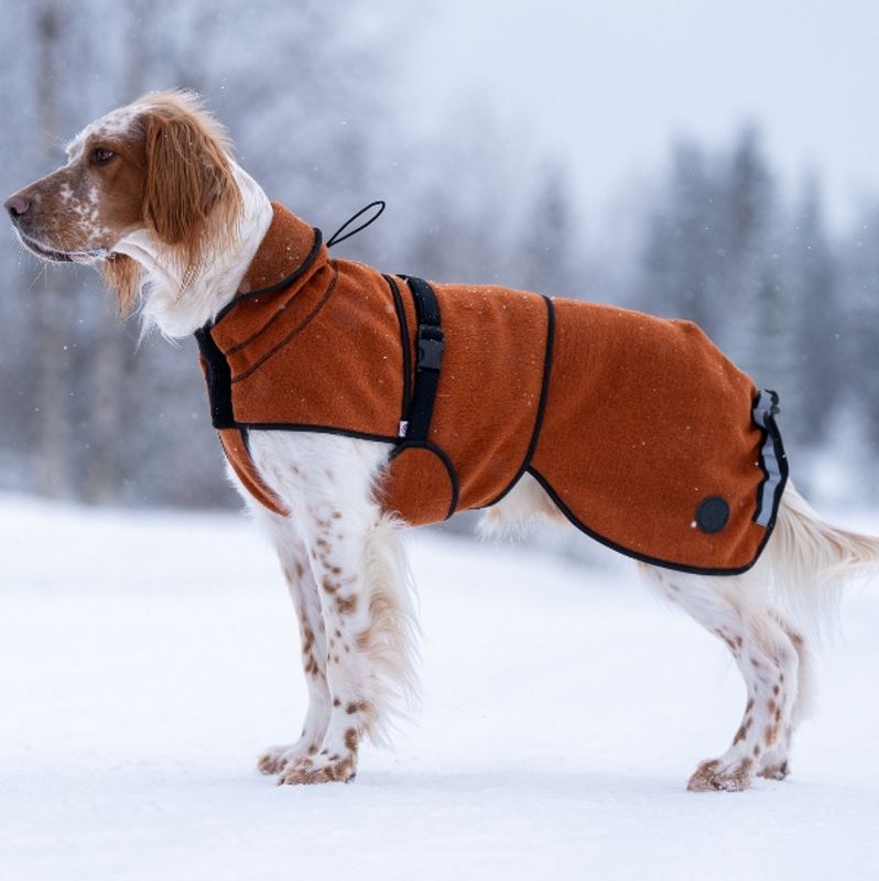 Delta - wool coat dog