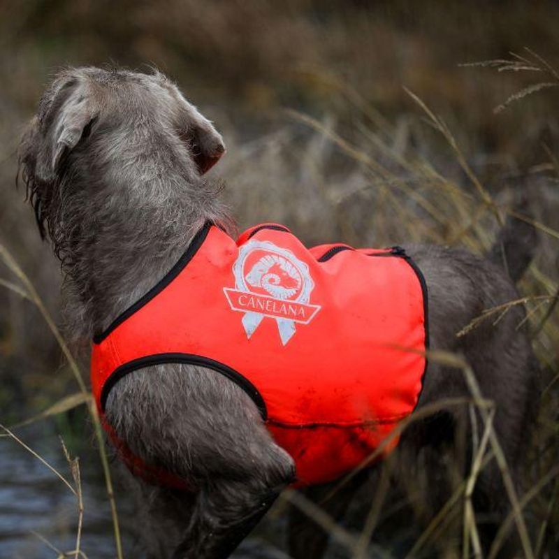 VISIO synlighets- og jaktdekken