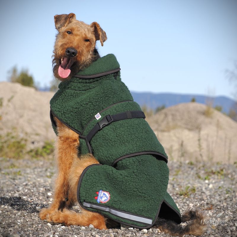 Selva wool coat dog