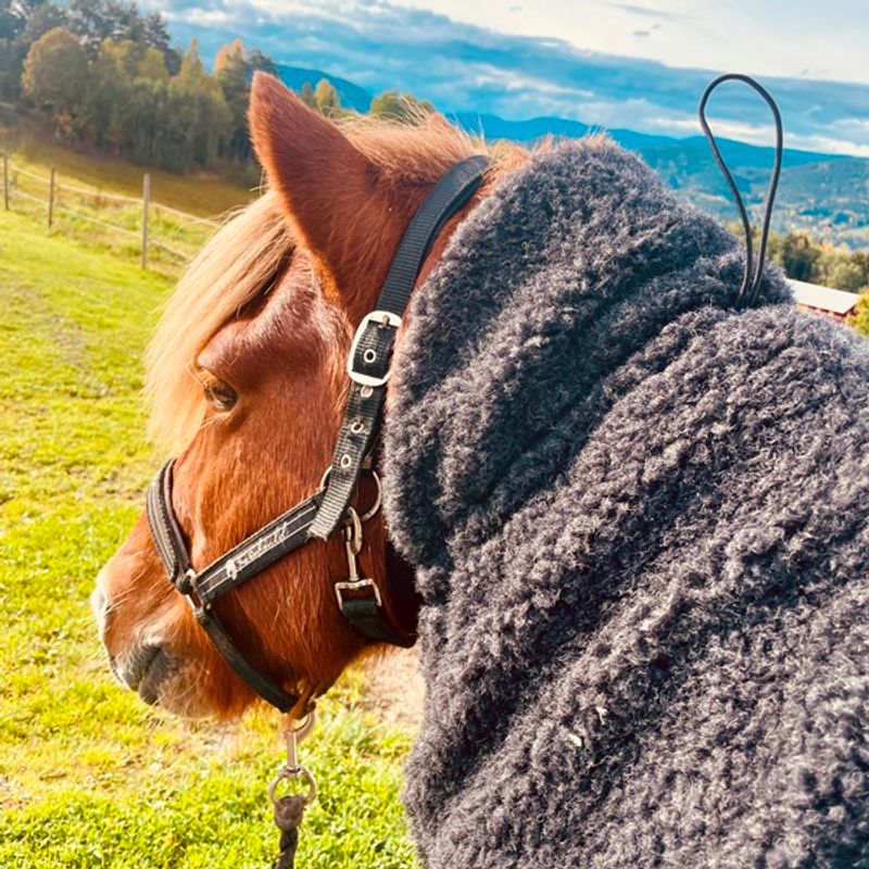 Viðar ulldekken Hest