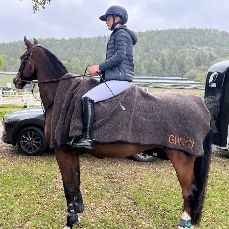 Ull-pledd hest - bestillingsprodukt