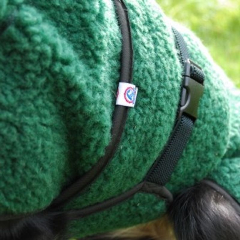 Selva  ulldekken hund