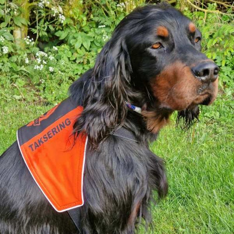 Canelana markeringsdekken-vest hund: taksering