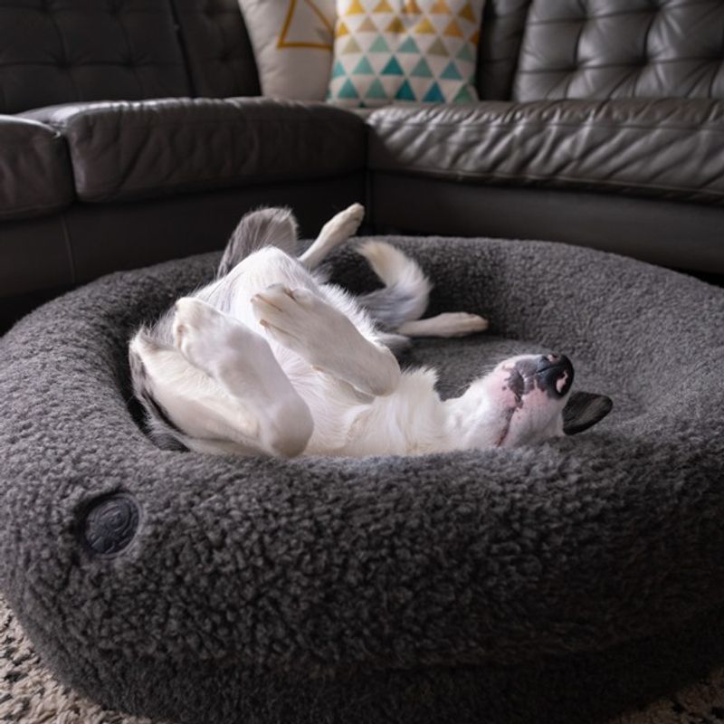 Canelana rund hundeseng i 100% ull 