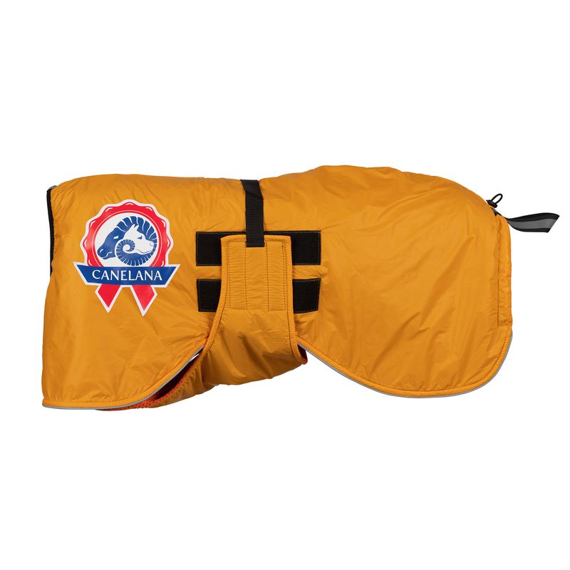 Sporting - activity coat dog with 100% wool lining