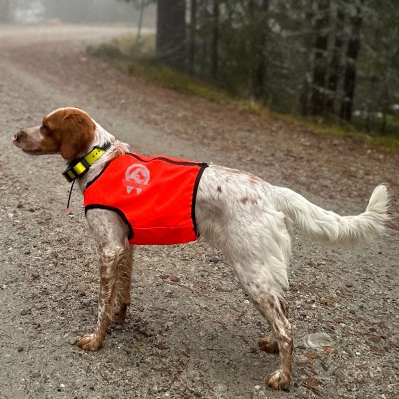 VISIO synlighets- og jaktdekken